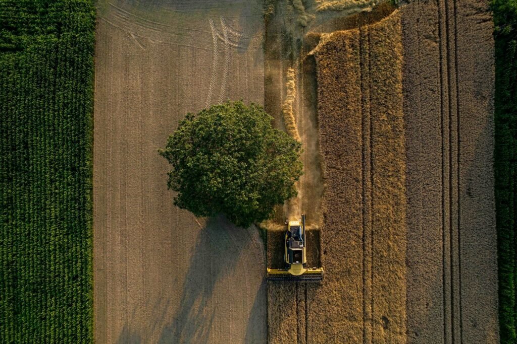 Vista aérea de um trator preparando o solo em área rural, com uma árvore isolada